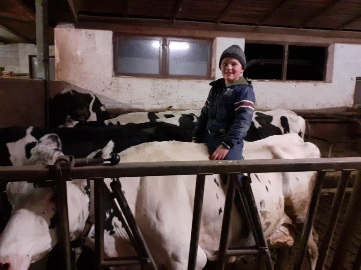 Schweiggerhof -Agriturismo- Farm Holidays Villandro Luaran gambar
