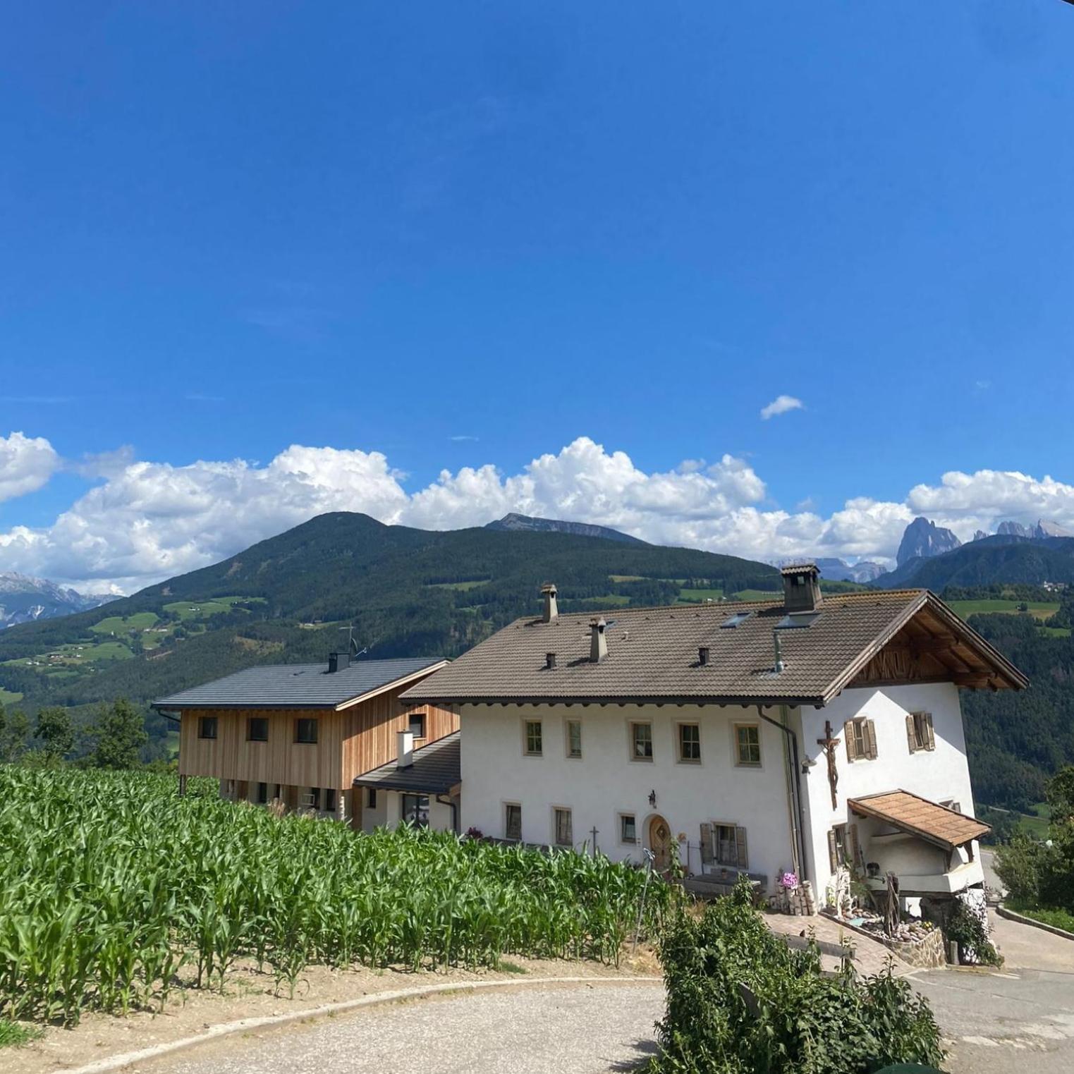 Schweiggerhof -Agriturismo- Farm Holidays Villandro Luaran gambar