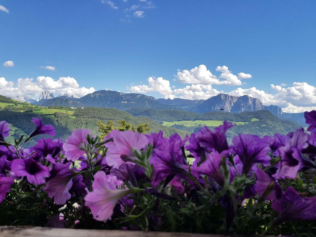 Schweiggerhof -Agriturismo- Farm Holidays Villandro Luaran gambar